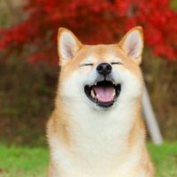 まー (@mar48857) 's Twitter Profile