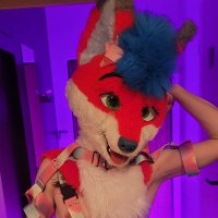 Foxlutt - π (@foxylutty_ad) 's Twitter Profile
