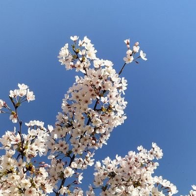 生きるための墓場、口が悪いのはﾃﾞﾌｫﾙﾄ