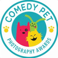 Comedy Pet Photo Awards(@ComedyPetPhoto) 's Twitter Profile Photo