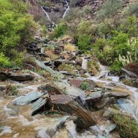 ابوياسر (@abuyaser505) Twitter profile photo