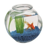 りこな (@handle_umaine) Twitter profile photo