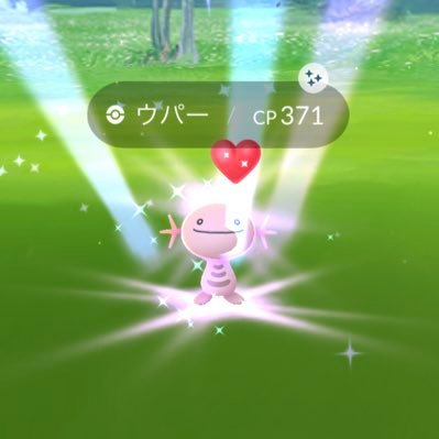 risorapokemon's profile picture. テラフェス〜     26s2TOP8   練習会とか壁役お誘いお待ちしてます！！
