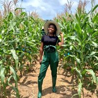 Young Female Farmer 💕💕(@AjayiTitilopeB1) 's Twitter Profile Photo