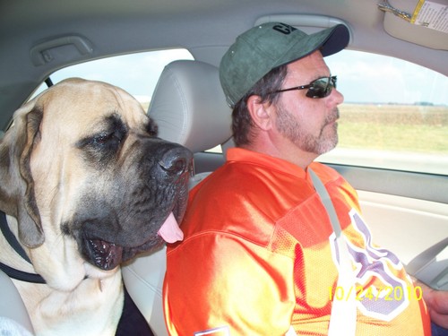 heckbill's profile picture. 