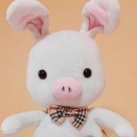 PigRabbitTay (@pigrabbittay) 's Twitter Profile