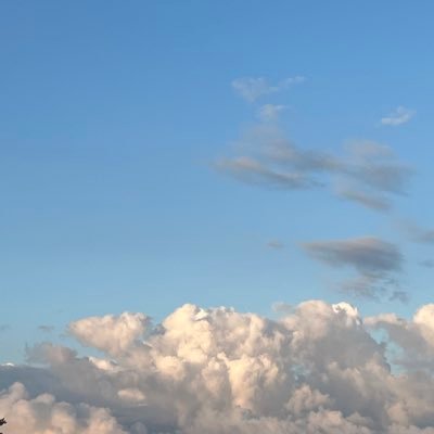 ysh020104's profile picture. 멋있다