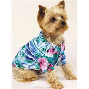 At South Beach Pet Grooming, our highest priority is the health and well being of your beloved pet