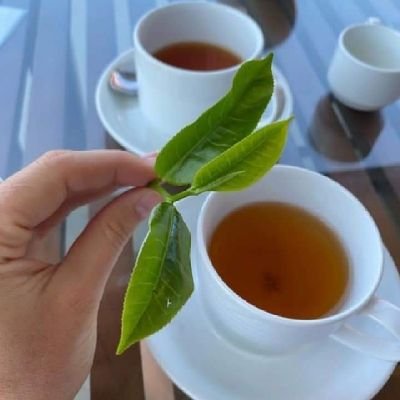 rosyro1979's profile picture. male