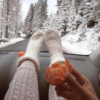 Sandra (@sandra_wolfe57) 's Twitter Profile