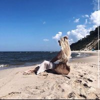 Vanessa (@v_verne66) 's Twitter Profile