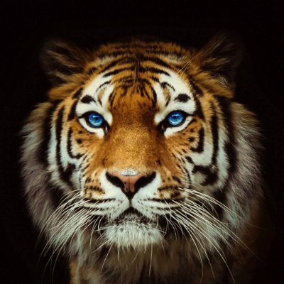 geoweb37's profile picture. 