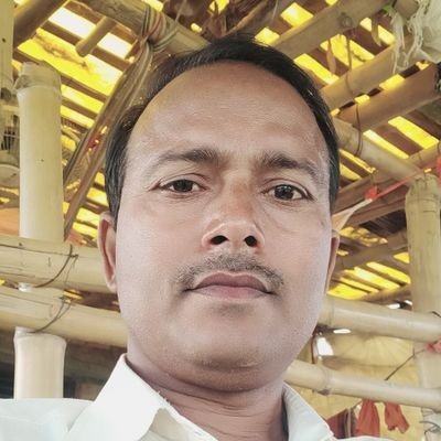 jpMaury35086063's profile picture. 