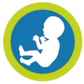 Delivering online neonatal education towards an MSc Neonatology or for CPD.