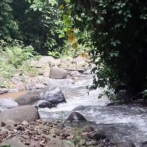 pudingcoklat281's profile picture. 