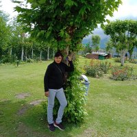 Arti Gupta (@artigup81987399) 's Twitter Profile Photo