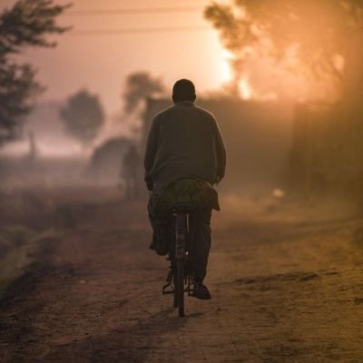 VikashK77136279's profile picture. political science graduate