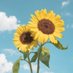 🌻 Sunflower 🌻 (@Sunfloweriglove) Twitter profile photo