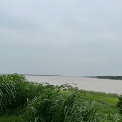 HackerzzzHeart's profile picture. 