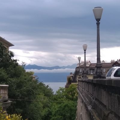 SoundDomus's profile picture. ☦️