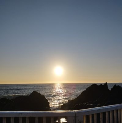 catopazo's profile picture. 