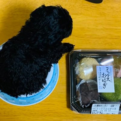 コツコツと革細工をしています。 リプ遅めごめんなさい。相互不要。リポスト多いです。不快な方はミュートして下さい(❁ᴗ͈ˬᴗ͈)ハンドメイドは@mentsuyu_2u2u3i(幸せクラフトyukichi)