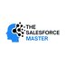 The salesforce Master (@Saleforcemaster) Twitter profile photo
