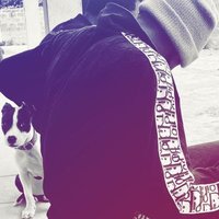 R£X (@boi_t_rexx) 's Twitter Profile