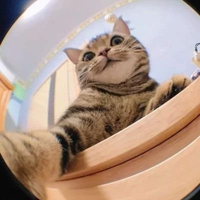 Candyseyer0804's profile picture. 𝑻𝒐𝒅𝒐 𝒆𝒔 𝒖𝒏 𝒑𝒓𝒐𝒄𝒆𝒔𝒐, 𝒍𝒖𝒆𝒈𝒐 𝒗𝒂𝒎𝒐𝒔 𝒂 𝒅𝒊𝒔𝒇𝒓𝒖𝒕𝒂𝒓 𝒄𝒐𝒎𝒐 𝒔𝒆 𝒅𝒆𝒃𝒆. ✨