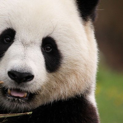 Emily7469958030's profile picture. The Verified Revolut account is a type of account that has been verified by Revolut,