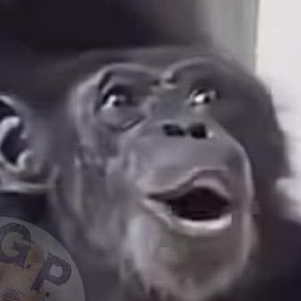 gonzo_barracuda's profile picture. Sex Lover