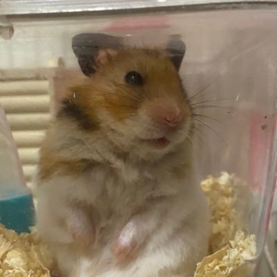 くらぐ。さんのプロフィール画像