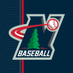 Northwoods League Baseball (@NWLbaseball) Twitter profile photo
