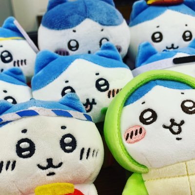 しらすさんのプロフィール画像