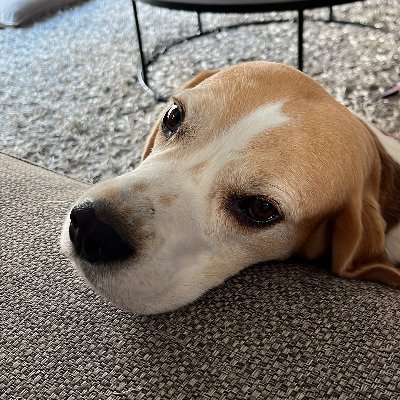 WhynotRoger's profile picture. Riding the wave of blockchain, AI and robotics.