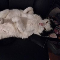 Michael Sprenger (@michaelsprenge3) Twitter profile photo