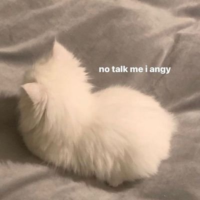 ehgopaybubu's profile picture. Jarang on twitt, karena on your heart💞