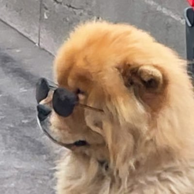 fikanorcubes's profile picture. 9teen | she/her || #studytwt / #lifetwt