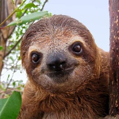 PennapaSai96210's profile picture. 