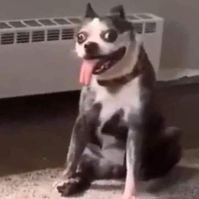 cremositaaa's profile picture. Siendo única, como todes los demás.