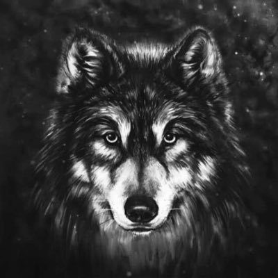 NOLLYVIZY's profile picture. ♊️ 👑