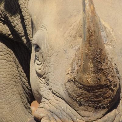 John58784's profile picture. 'thoughts are not always facts.....'