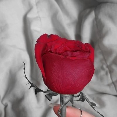 ﮼رب ﮼أغفر ﮼لي ﮼ولوالدي