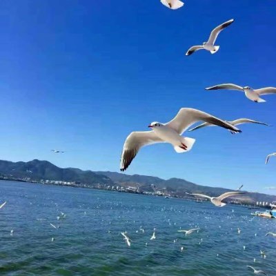 ydcode_sz's profile picture. nothing