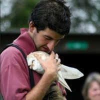 Mark Whittaker (@thefatwagtail) 's Twitter Profile Photo Mark Whittaker (@thefatwagtail) 's Twitter Profile Photo