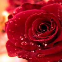 Eden (@edenisqueer) 's Twitter Profile Photo