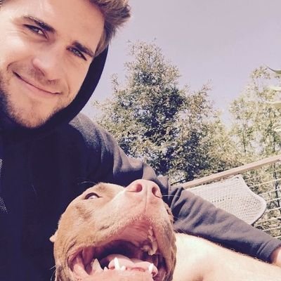 official account for Liam Hemsworth. welcome 😊