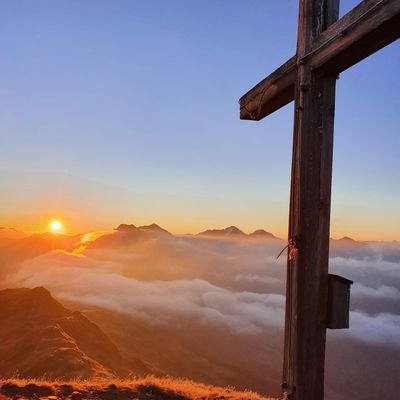 DianaH16560403's profile picture. 🌎❤🏳️‍🌈☮️🚲🐈🌻