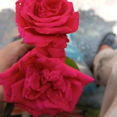 raju_md62033's profile picture. Allah