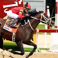 Haras La Primavera🇻🇪🏆 (@hlaprimavera19) 's Twitter Profile Photo Haras La Primavera🇻🇪🏆 (@hlaprimavera19) 's Twitter Profile Photo